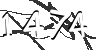 Обновить